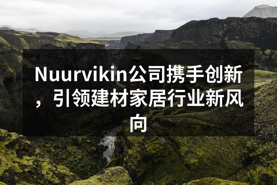 Nuurvikin新产品发布会现场盛况